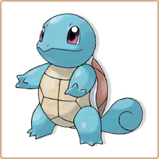 Squirtle Artwork Image