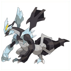 Artwork Kyurem Ken Sugimori
