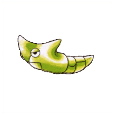 Artwork Metapod Ken Sugimori