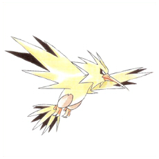 Artwork Zapdos Ken Sugimori