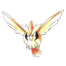 Artwork Pidgey Ken Sugimori
