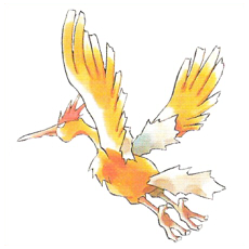 Artwork Fearow Ken Sugimori