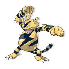 Artwork Electabuzz Ken Sugimori