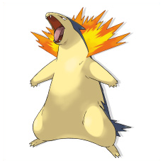 Artwork Typhlosion Ken Sugimori