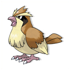 Artwork Pidgey Ken Sugimori
