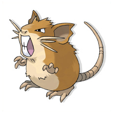 Artwork Raticate Ken Sugimori