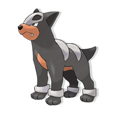 Artwork Houndour Ken Sugimori