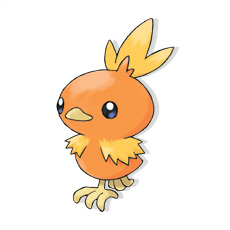 Artwork Torchic Ken Sugimori
