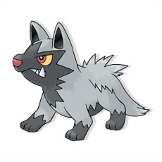 Artwork Poochyena Ken Sugimori