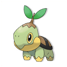Artwork Turtwig Ken Sugimori