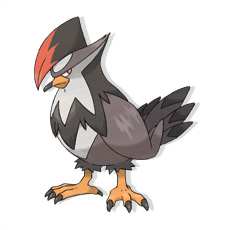 Artwork Staraptor Ken Sugimori