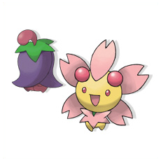 Artwork Cherrim Ken Sugimori