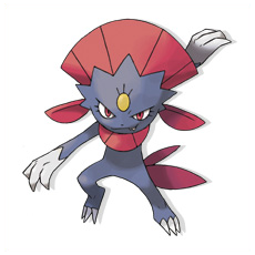 Artwork Weavile Ken Sugimori