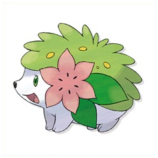 Artwork Shaymin Ken Sugimori