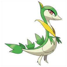 Artwork Servine Ken Sugimori