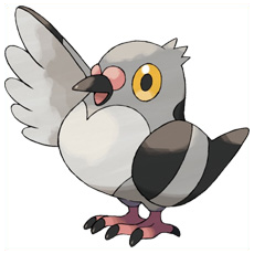 Artwork Pidove Ken Sugimori