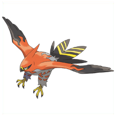 Artwork Talonflame Ken Sugimori