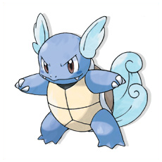 Artwork Wartortle Ken Sugimori
