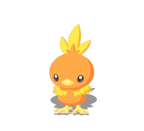 Torchic
