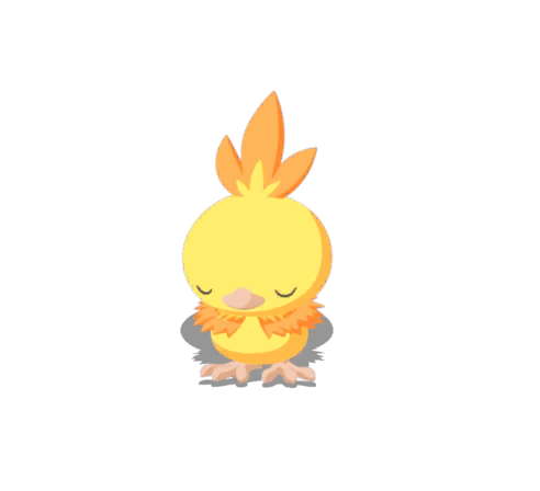 Torchic