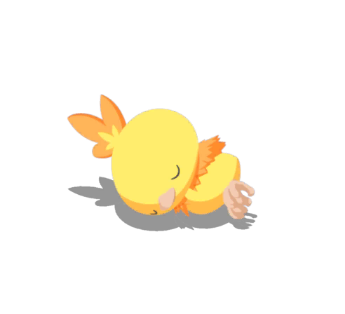 Torchic