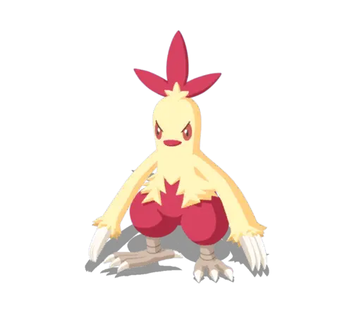 Combusken