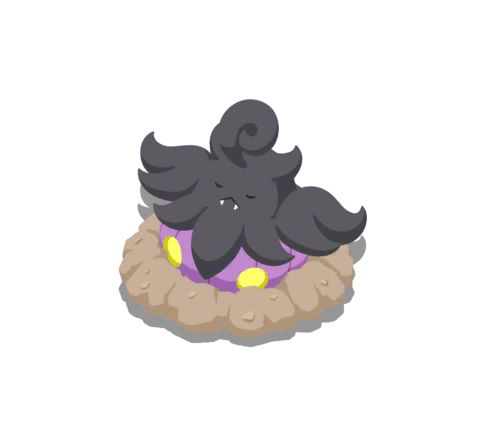 Pumpkaboo Var. Pequea
