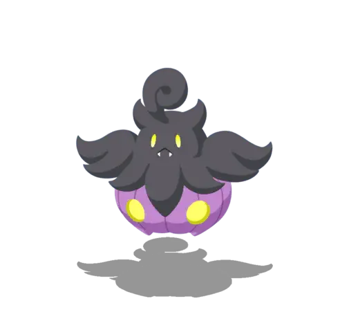 Pumpkaboo Var. Pequea