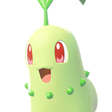 Chikorita