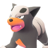Houndour