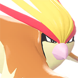 Pidgeot