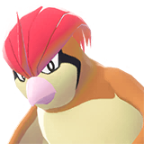 Pidgeotto