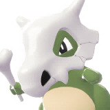 Cubone