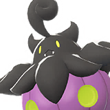 Pumpkaboo Grande