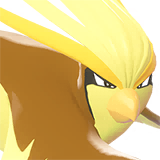 Pidgeot