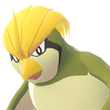 Pidgeotto