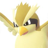 Pidgey