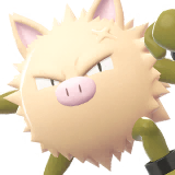 Primeape
