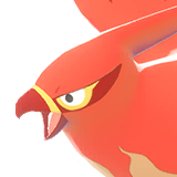 Talonflame