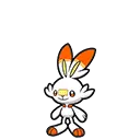 Scorbunny