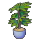 x1 Planta decorativa (cualquiera)