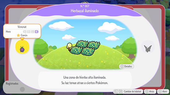 Herbazal iluminado