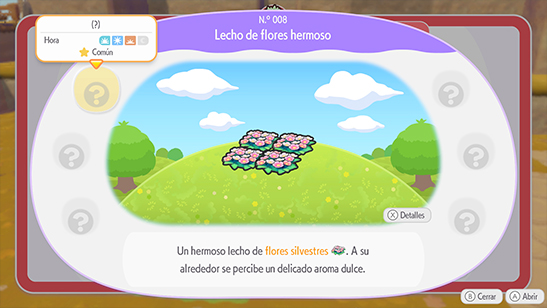 Lecho de flores hermoso