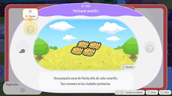 Herbazal amarillo