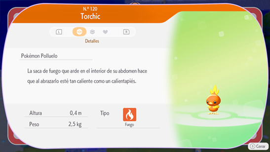 Torchic